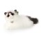 Rappa Plyschkatt ragdoll liggande 35 cm ECO-FRIENDLY