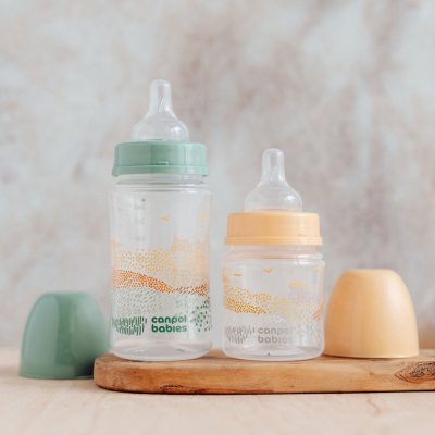 CANPOL BABIES Anti-Kolik-Flasche EasyStart Mountains 240 ml beige