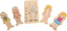 small foot Drewniane puzzle anatomia