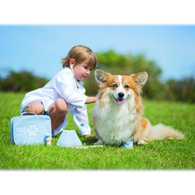 Bigjigs Toys Zestaw weterynaryjny