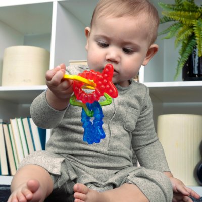 BABY EINSTEIN Beißringe 4er-Pack BPA-frei Cool Critters 3m+