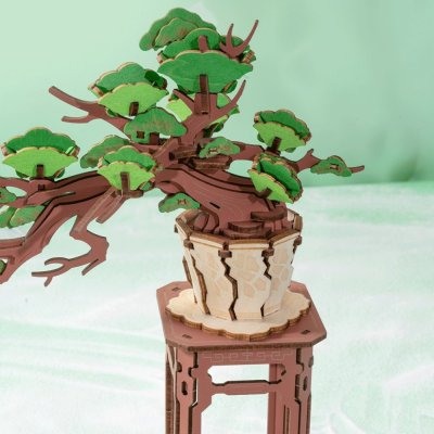 RoboTime 3D Holzpuzzle Bonsai Kiefer