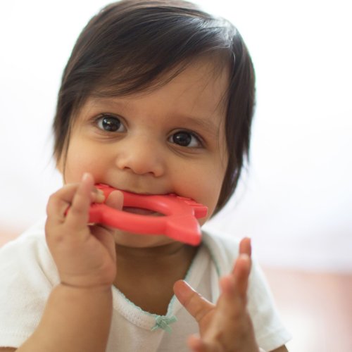 DR.BROWN'S FlexeesFriends teether 3m+ red