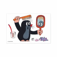 Dino Dřevěné obrázkové kostky Krtek 6 ks