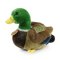 Rappa Pluche eend 20 cm ECO-FRIENDLY
