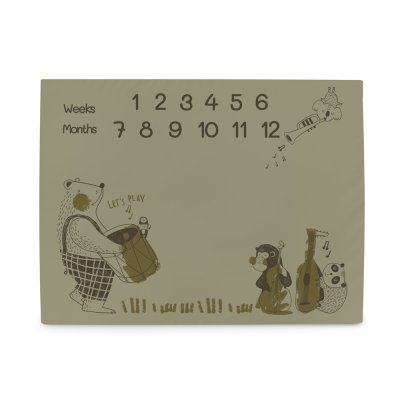 CEBA BABY Meilenstein-Fotografie-Decke (92x72) Basic Band