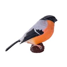 Mojo Bouvreuil pivoine