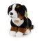 Rappa Berner Sennenhund Plüschtier sitzend 25 cm ECO-FRIENDLY