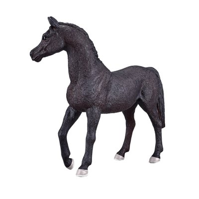 Mojo Garanhão Árabe Preto