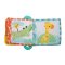 BRIGHT STARTS Teether / Carte, 3m+ leu