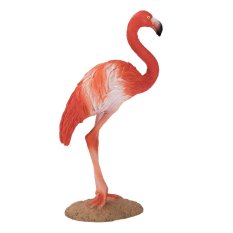 Mojo Karibischer Flamingo