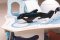 Bigjigs Toys Polair Avontuur