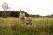 EASYWALKER Kombi-Kinderwagen Jimmey Explore Pearl Taupe AIR