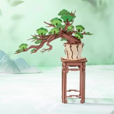 RoboTime 3D Holzpuzzle Bonsai Kiefer