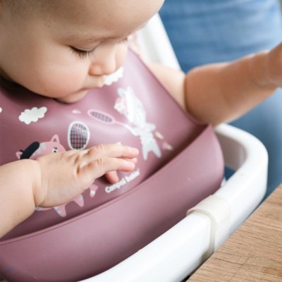 CANPOL BABIES Silikonska naprsnica s džepićem Bonjour Paris roza