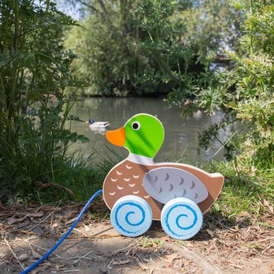 Bigjigs Baby Nachzieh-Ente