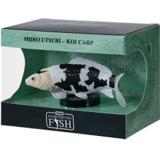 Mojo Karpfen koi shiro utsuri in der box