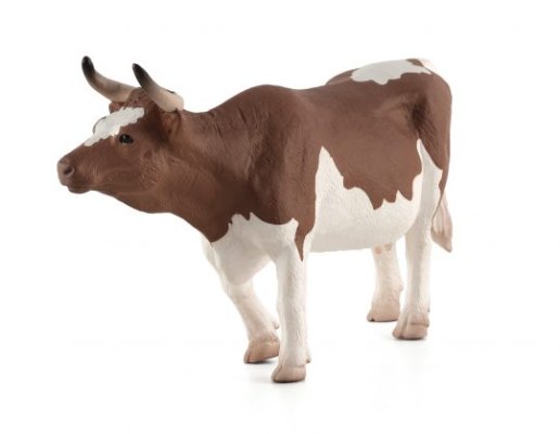 Mojo Simmentaler koe