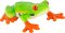 Mojo Agalychnis callidryas