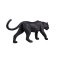 Mojo Schwarzer Panther
