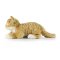 Rappa Gato atigrado de peluche rojizo 40 cm ECO-FRIENDLY