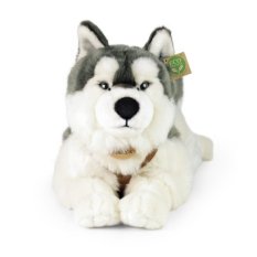 Rappa Plyšový pes husky s obojkom ležiaci 60 cm ECO-FRIENDLY