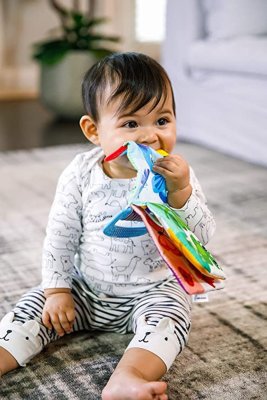 BABY EINSTEIN Grizalo/knjiga Curious Explorers™0m+
