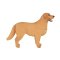 Mojo Golden Retriever