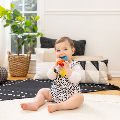 BABY EINSTEIN Mordedor com chocalho zebra Zen™ Shake-a-Shape sem BPA 0m+