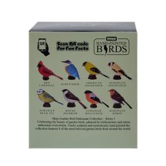 Mojo Kardynał szkarłatny w pudełku