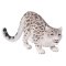 Mojo Snöleopard