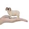 Mojo Hampshire Widder