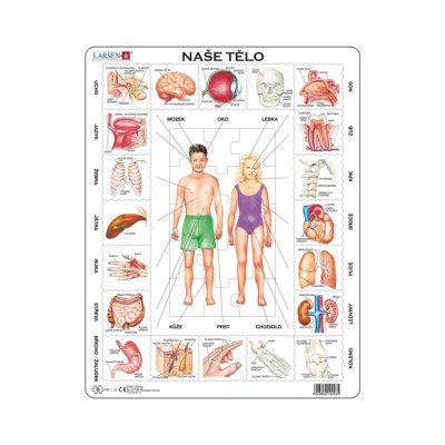 Larsen Oktató puzzle A testünk 35 darabos