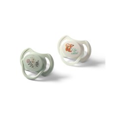 BABYONO Symmetrische Silikonschnuller 6-18m, 2 Stk.