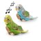 Rappa Periquito de peluche con sonido 11 cm ECO-FRIENDLY juego de 2 uds.