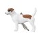 Mojo Nyckelring Jack Russel Terrier