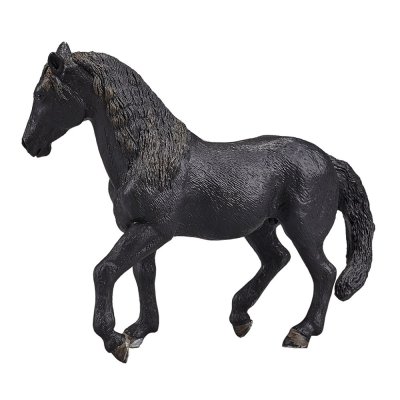 Mojo Andalusian Black Horse