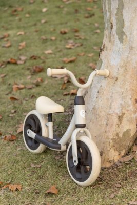 QPLAY Laufrad Trainer Pink, Alter 2-4 Jahre
