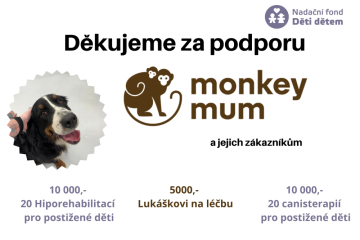 NADAČNÍ FOND DĚTI DĚTEM - Vybráno 25000 bylo k 31.5.2024