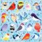 Mudpuppy Puzzle Singvögel 500 Teile
