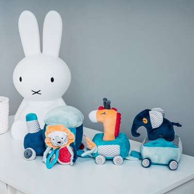 BABYONO Lernspielzeug Safari-Zug ab 0 Monaten