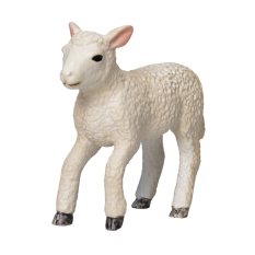 Mojo Agneau Romney Marsh courant