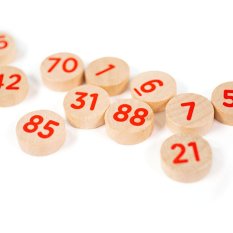 Bigjigs Toys Bingo Tradizionale