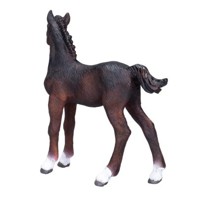 Mojo Hanoverian Foal Bay