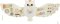 2Kids Toys Activity board Sowa