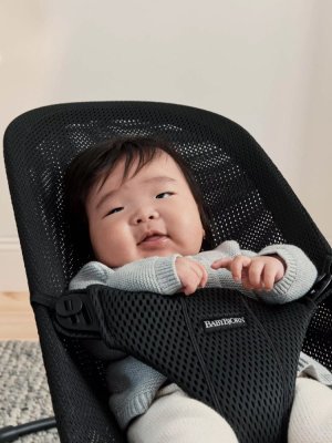 BABYBJÖRN Liege Bliss Schwarzes Netz, schwarze Konstruktion