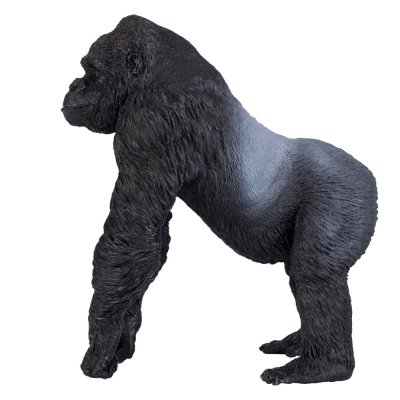 Mojo Gorila macho de costas prateadas