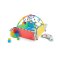BABY EINSTEIN Spieldecke 5in1 Patch's Color Playspace™ 0m+