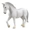 Yegua Lipizzaner Mojo