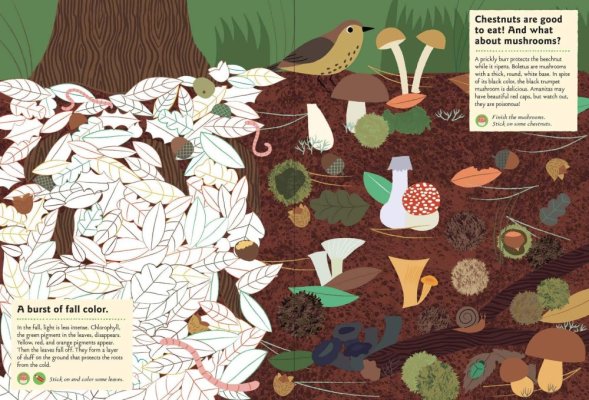 Chronicle Books Książka z naklejkami z aktywnościami Moja natura W lesie
